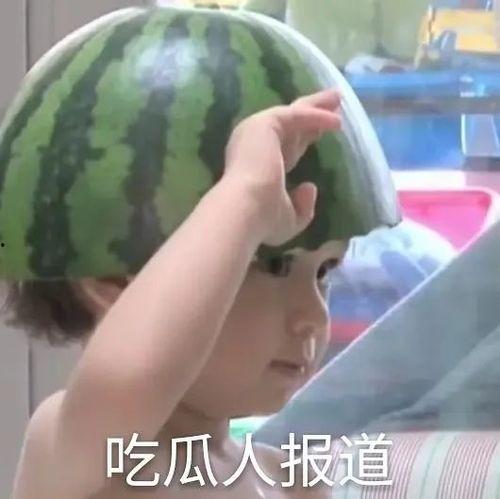 娱乐吃瓜文案搞笑表情包